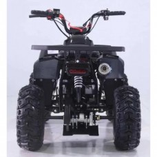 Квадроцикл дитячий ORIX CHIX 110