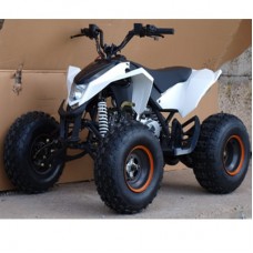 Квадроцикл Speed ​​Gear Madix 125