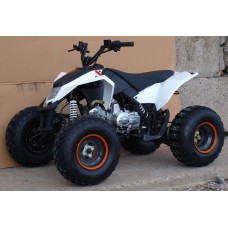 Квадроцикл Speed ​​Gear Madix 125