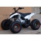 Квадроцикл Speed ​​Gear Madix 125