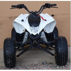 Квадроцикл Speed ​​Gear Madix 125