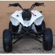 Квадроцикл Speed ​​Gear Madix 125