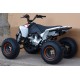 Квадроцикл Speed ​​Gear Madix 125
