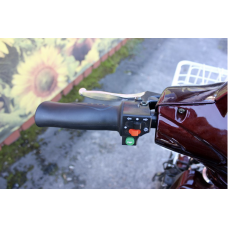 Електровелосипед триколісний SKYMOTO BIG HAPPY 350W 48V 10Ah 22"/20"