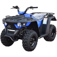 Квадроцикл Linhai M150