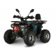 Квадроцикл підлітковий FORTE ATV125P блакитно-червоний
