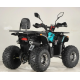 Квадроцикл підлітковий FORTE ATV125P блакитно-червоний