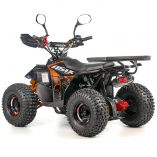 Квадроцикл дитячий ASIX MUDDY 110см³ E-Start