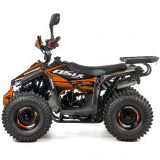 Квадроцикл дитячий ASIX MUDDY 110см³ E-Start