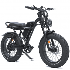 Електрофетбайк IDPOO IM-J1 750W 48V 15.6Ah 20"