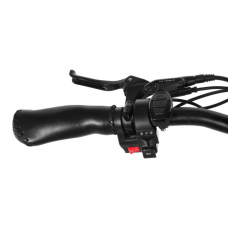 Електрофетбайк BARS HARD DUAL 3000W 48V 21Ah 20"