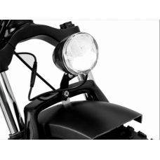 Електровелосипед триколісний Grizzly M5 700W 36V 15Ah 20"