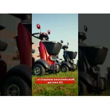 Електроскутер VIGOROUS SPRITE-2 48В 20А·год Чорний 500W