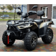 Квадроцикл Linhai LH300-D EFI ProMax (4X4) Сірий