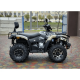 Квадроцикл Linhai LH300-D EFI ProMax (4X4) Сірий