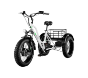 Триколісні електровелосипеди