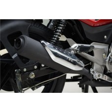 Bajaj Pulsar 150 DTS-i (Індія)