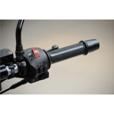 Bajaj Pulsar 150 DTS-i (Індія)