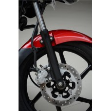 Bajaj Pulsar 150 DTS-i (Індія)