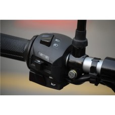 Bajaj Pulsar 150 DTS-i (Індія)