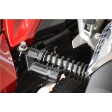 Bajaj Pulsar 150 DTS-i (Індія)