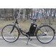 Електровелосипед SKYMOTO Vega 350W 36V 10Ah 26"