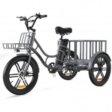 Електровелосипед триколісний ELEKGO EGO03 250W 48V 18Ah 20"