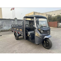 Трицикл бензиновий Armada F250 cm³